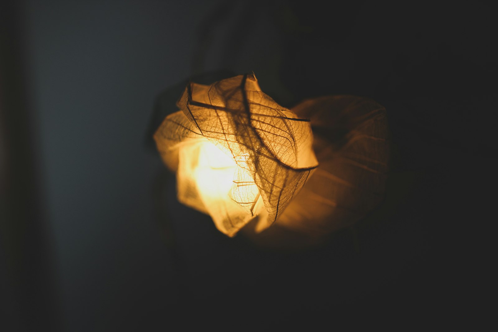 Ejemplo de trabajo artesanal personalizado